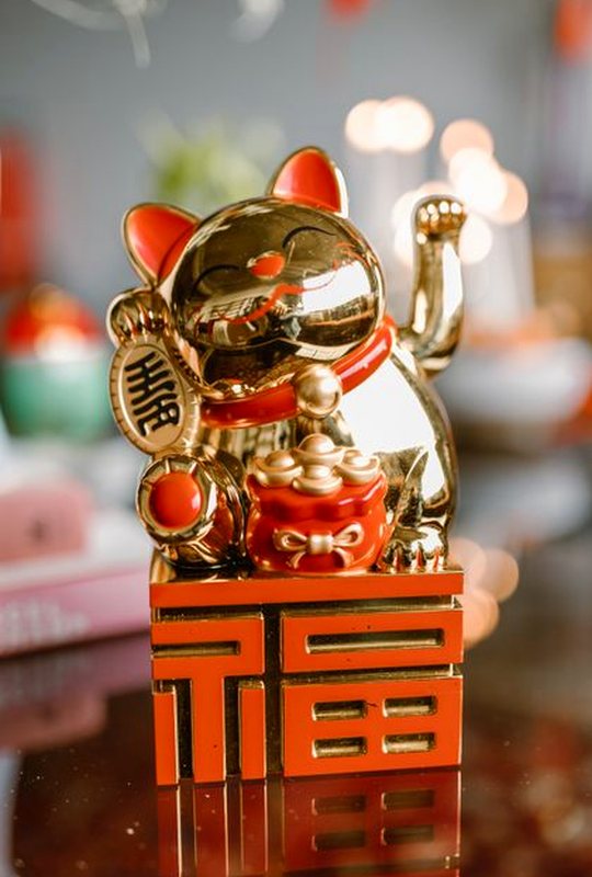 giấy phép Nohu